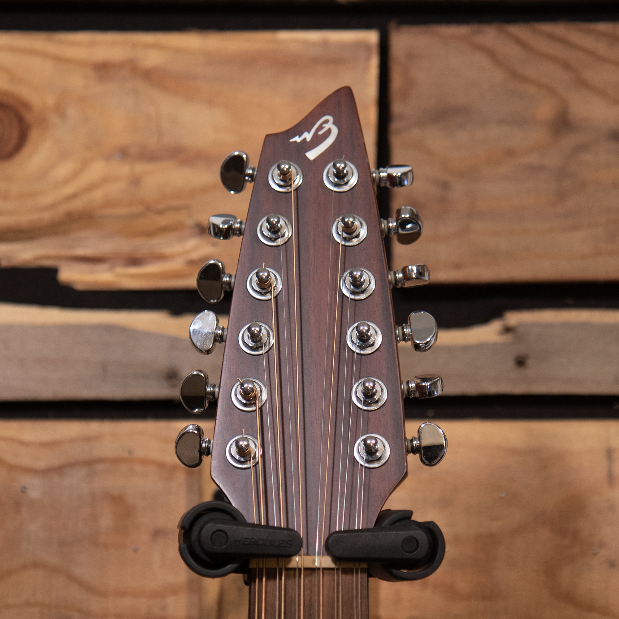 2007 Breedlove AC250/SM12