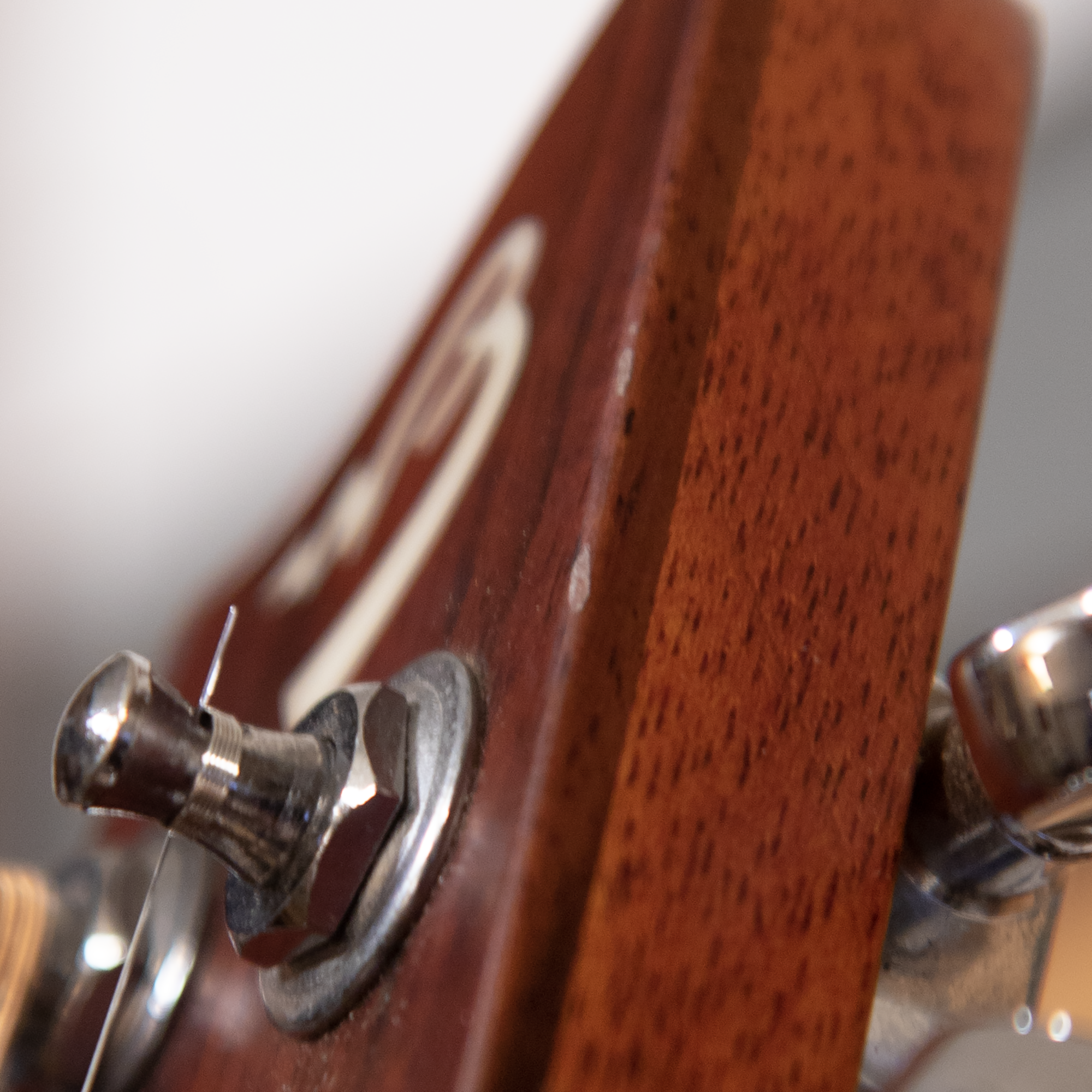 2007 Breedlove AC250/SM12