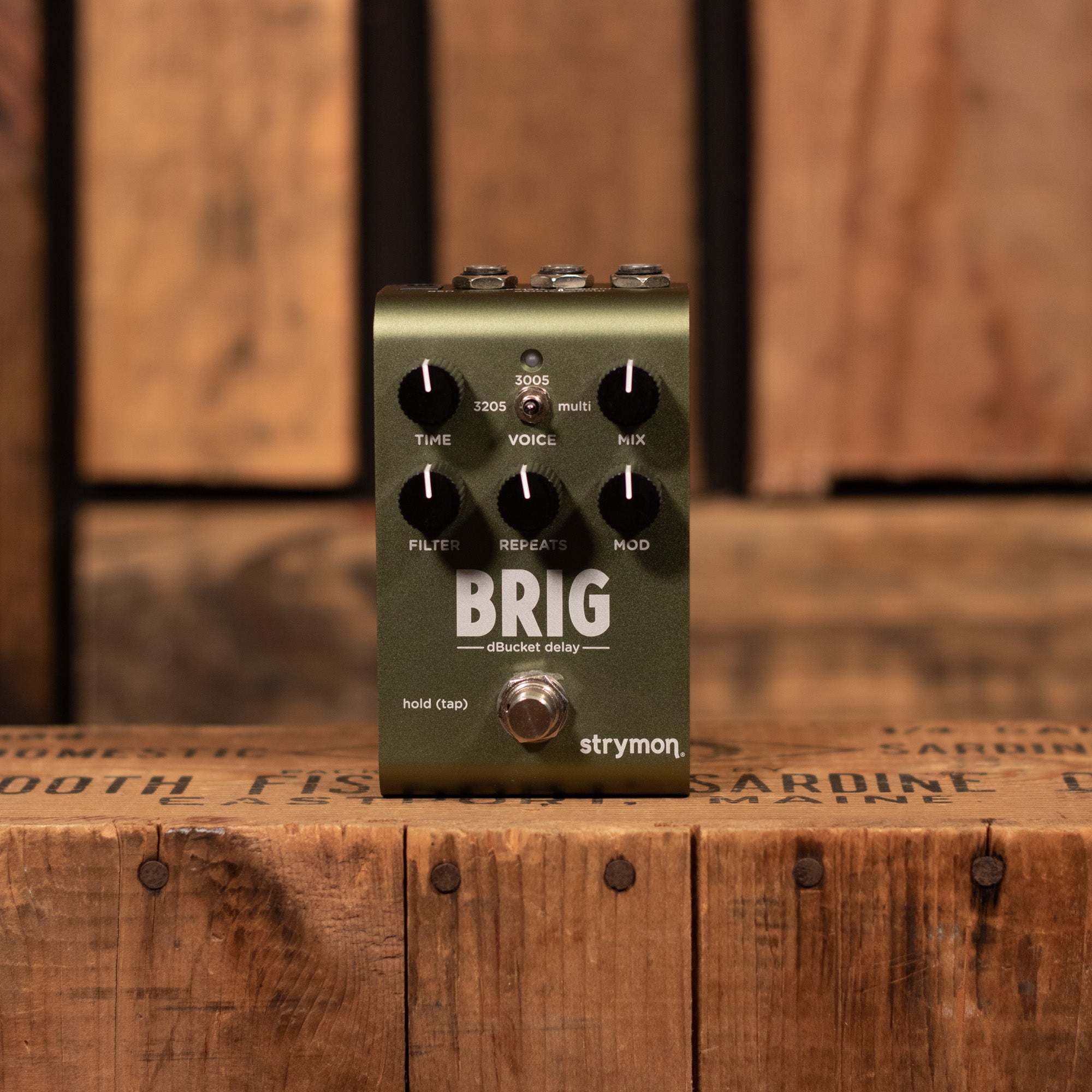 Strymon Brig dBucket Delay - B-Stock