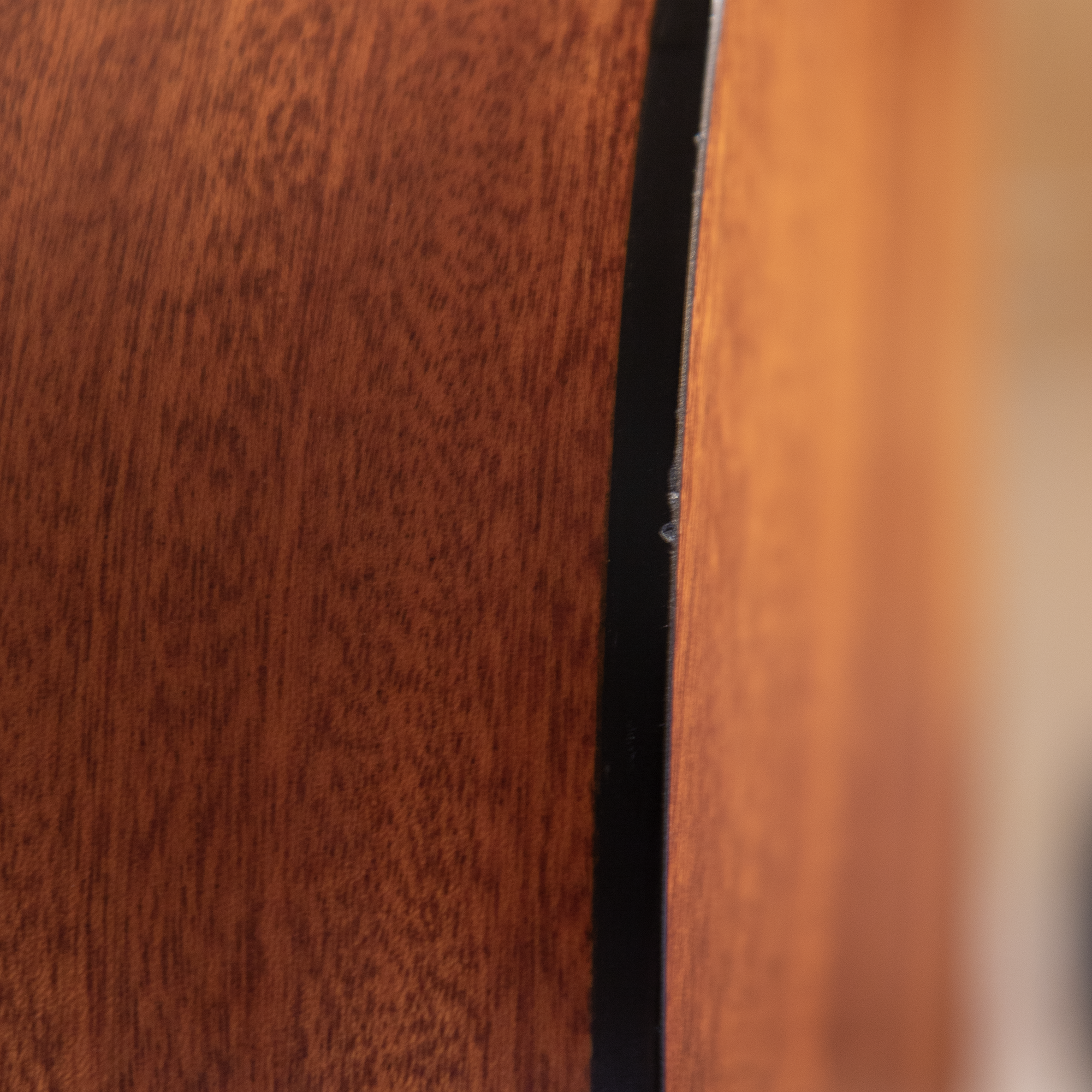 2007 Breedlove AC250/SM12