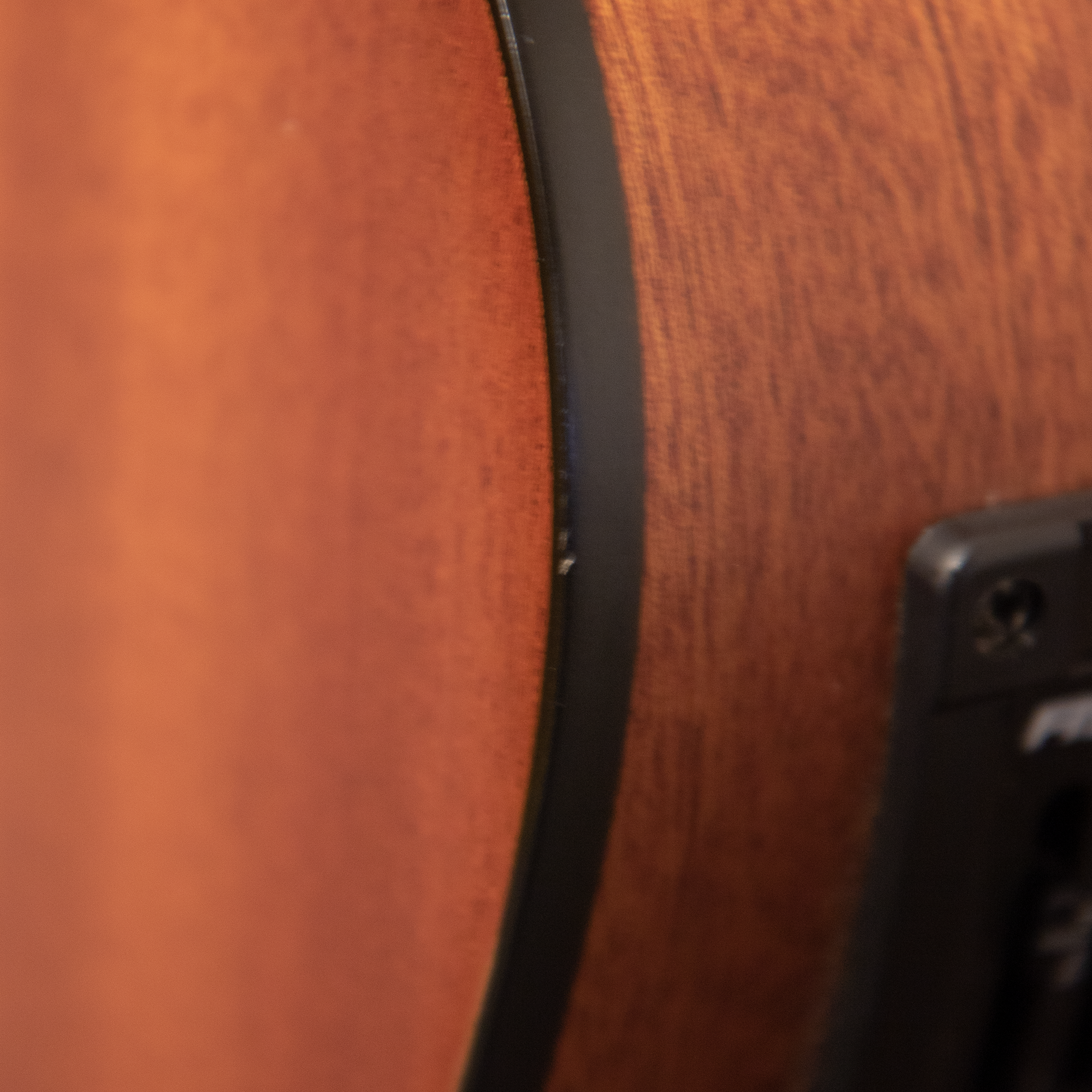 2007 Breedlove AC250/SM12