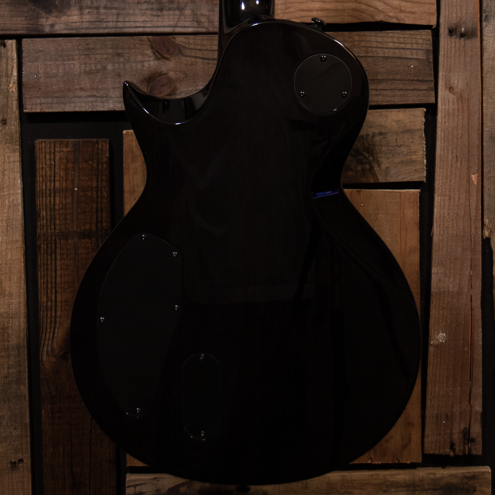 LTD EC-1000