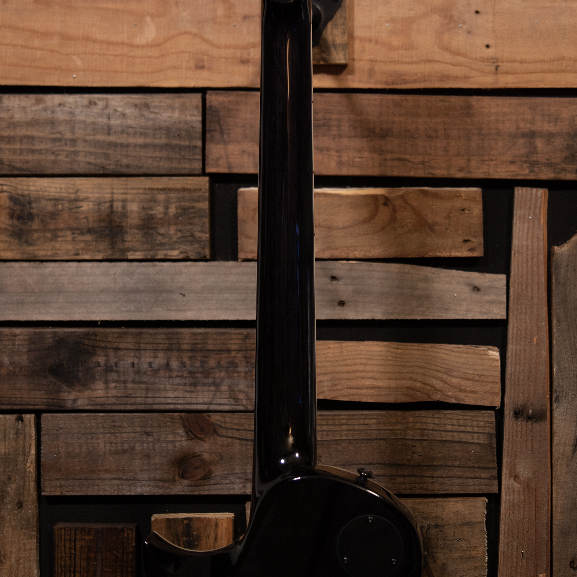 LTD EC-1000