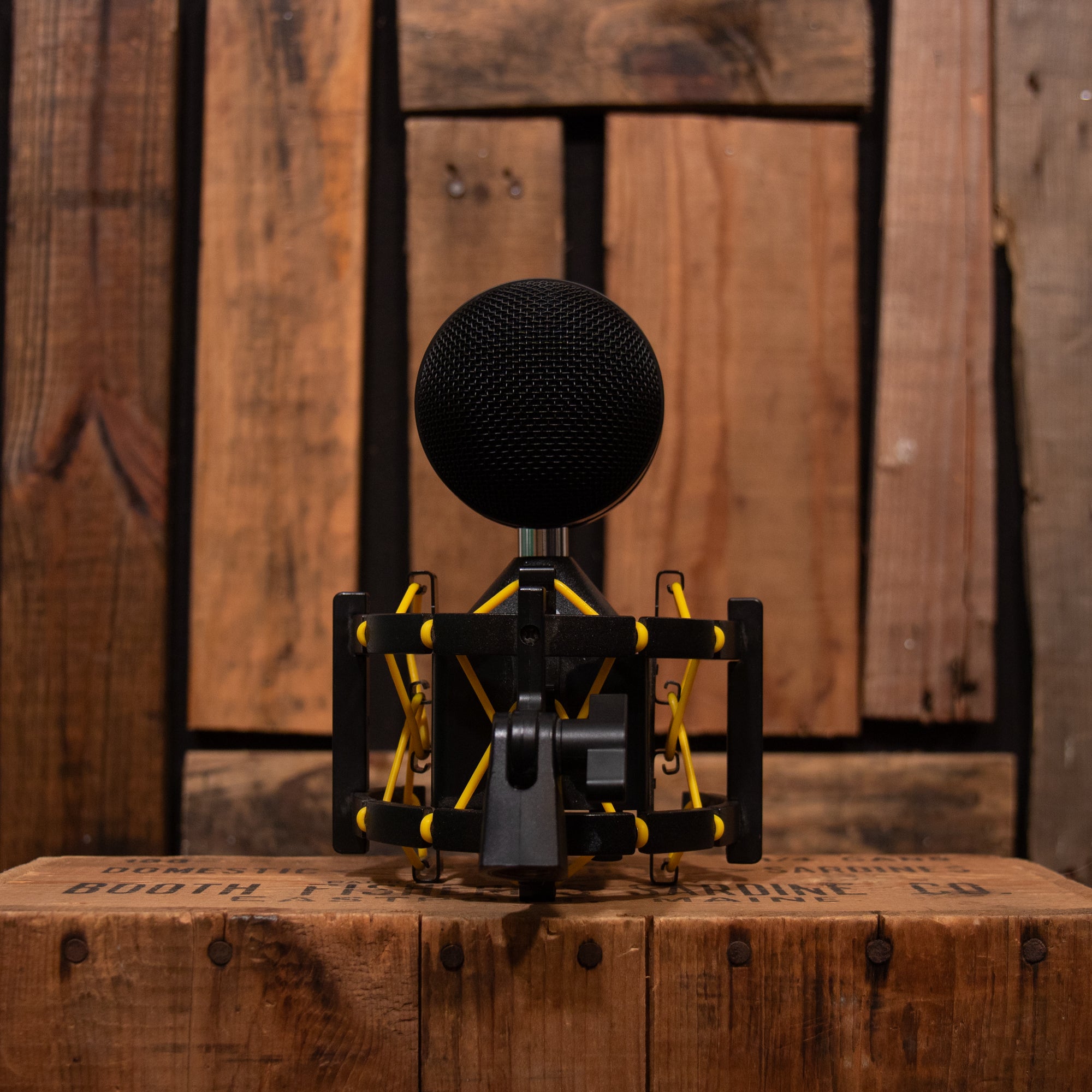 Neat Microphones Worker Bee Medium-diaphragm Condenser Microphone
