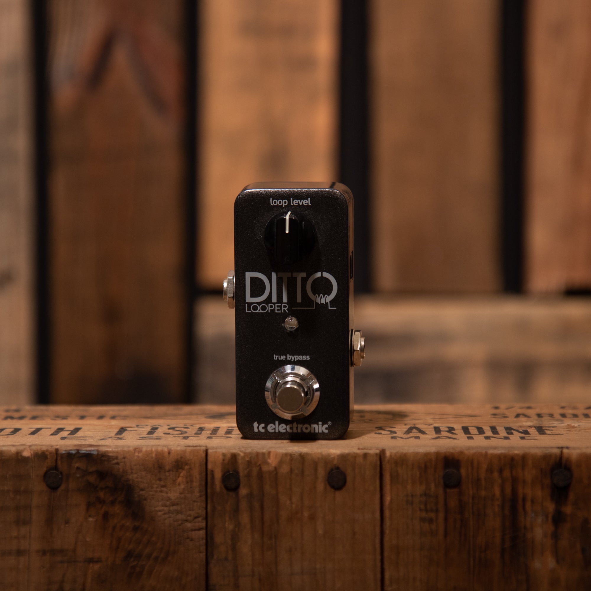 TC Electronic Ditto Looper