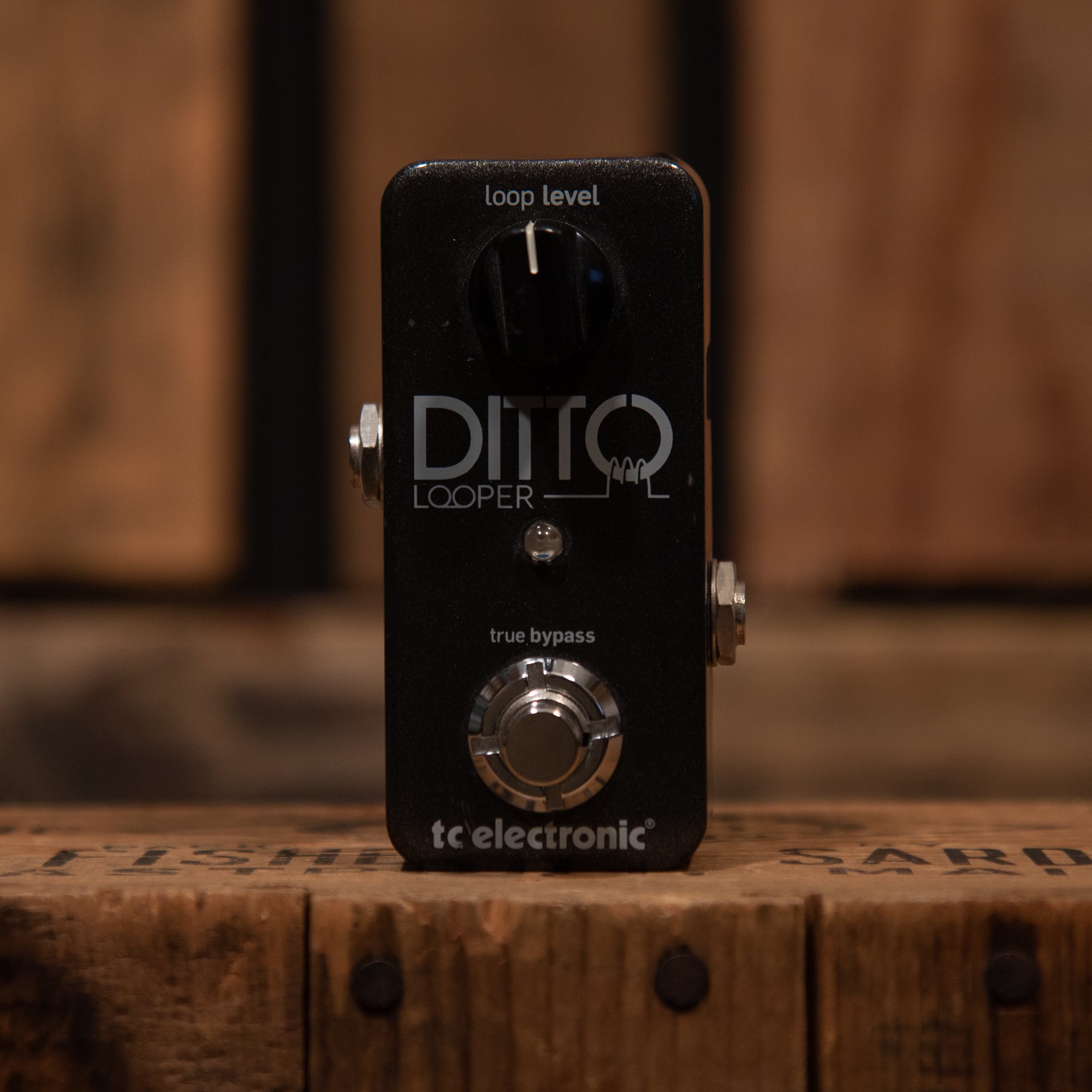 TC Electronic Ditto Looper