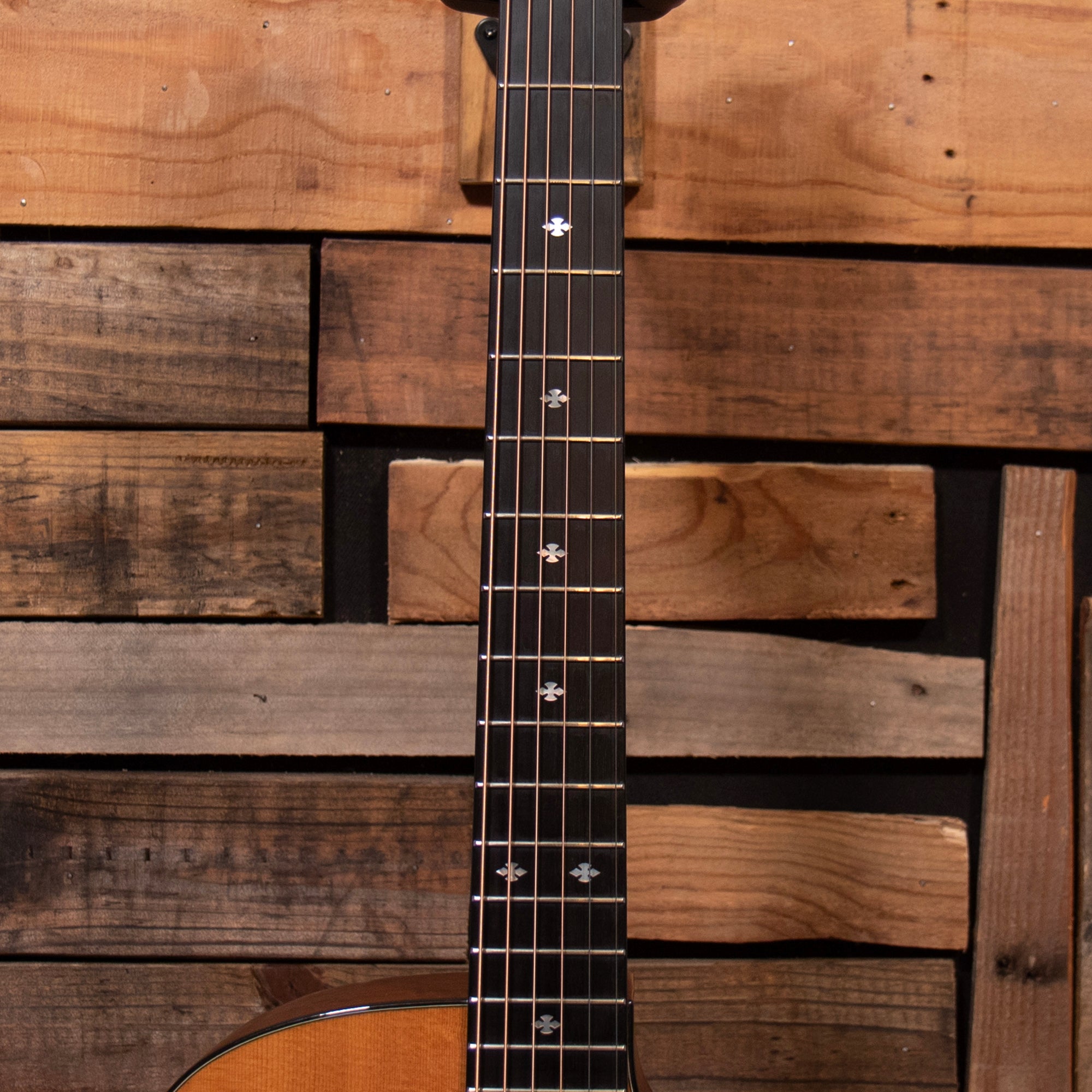 Taylor 310ce-LTD, 2001
