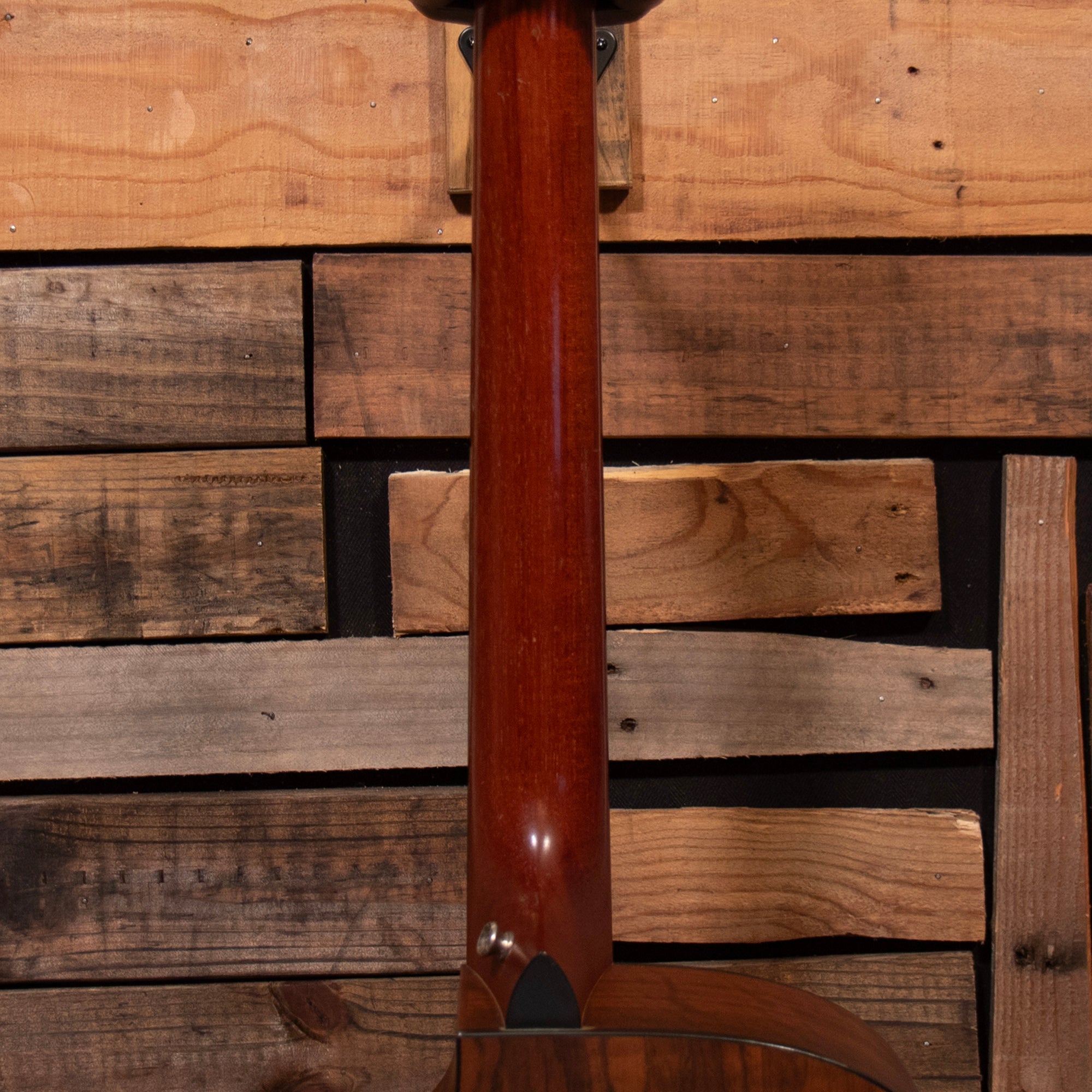 Taylor 310ce-LTD, 2001
