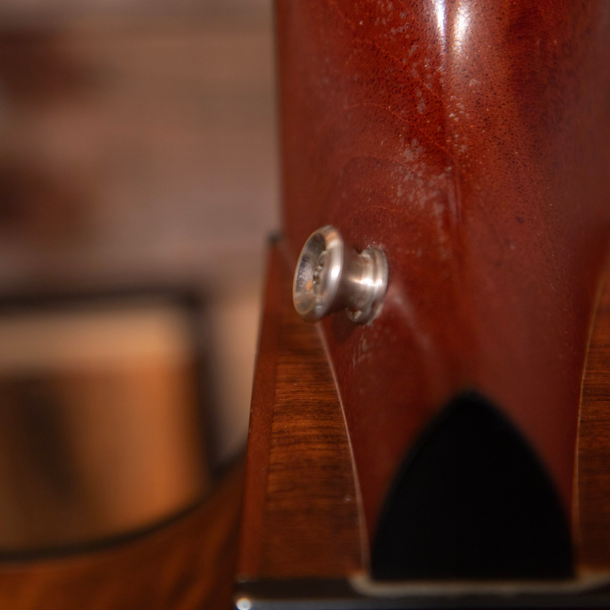 Taylor 310ce-LTD, 2001