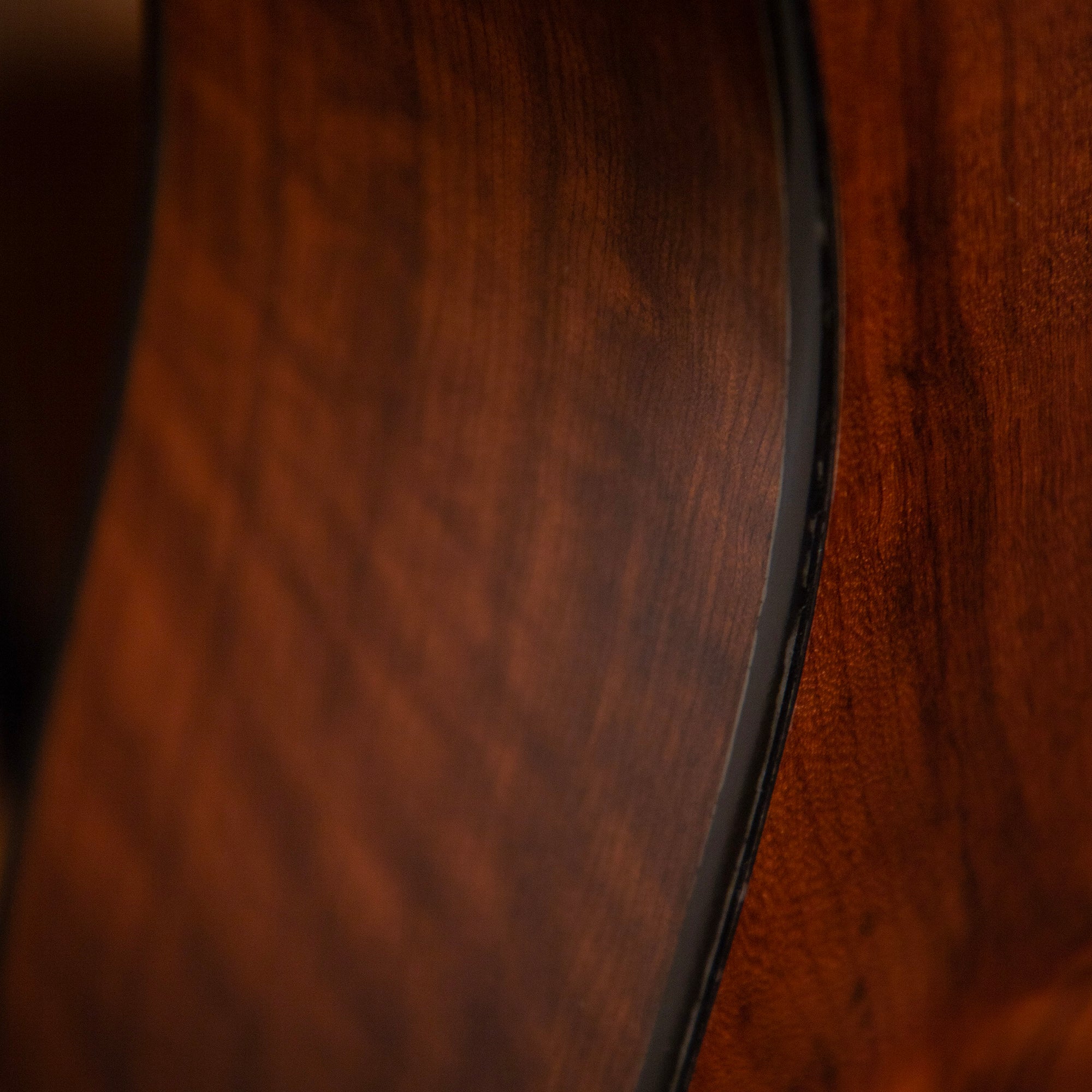 Taylor 310ce-LTD, 2001