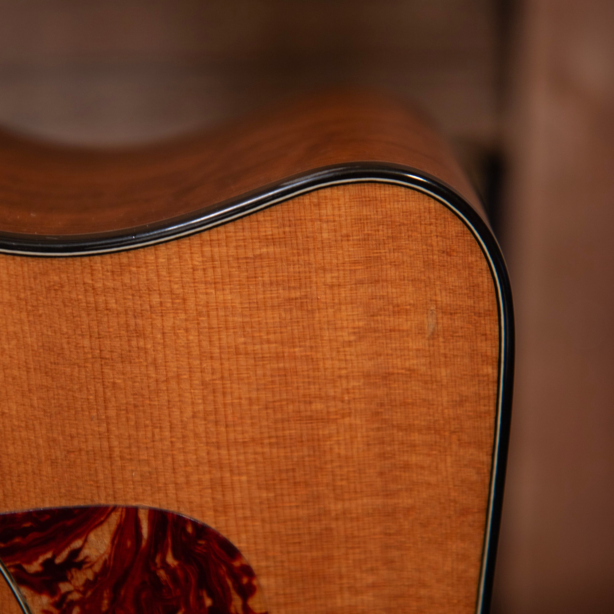 Taylor 310ce-LTD, 2001