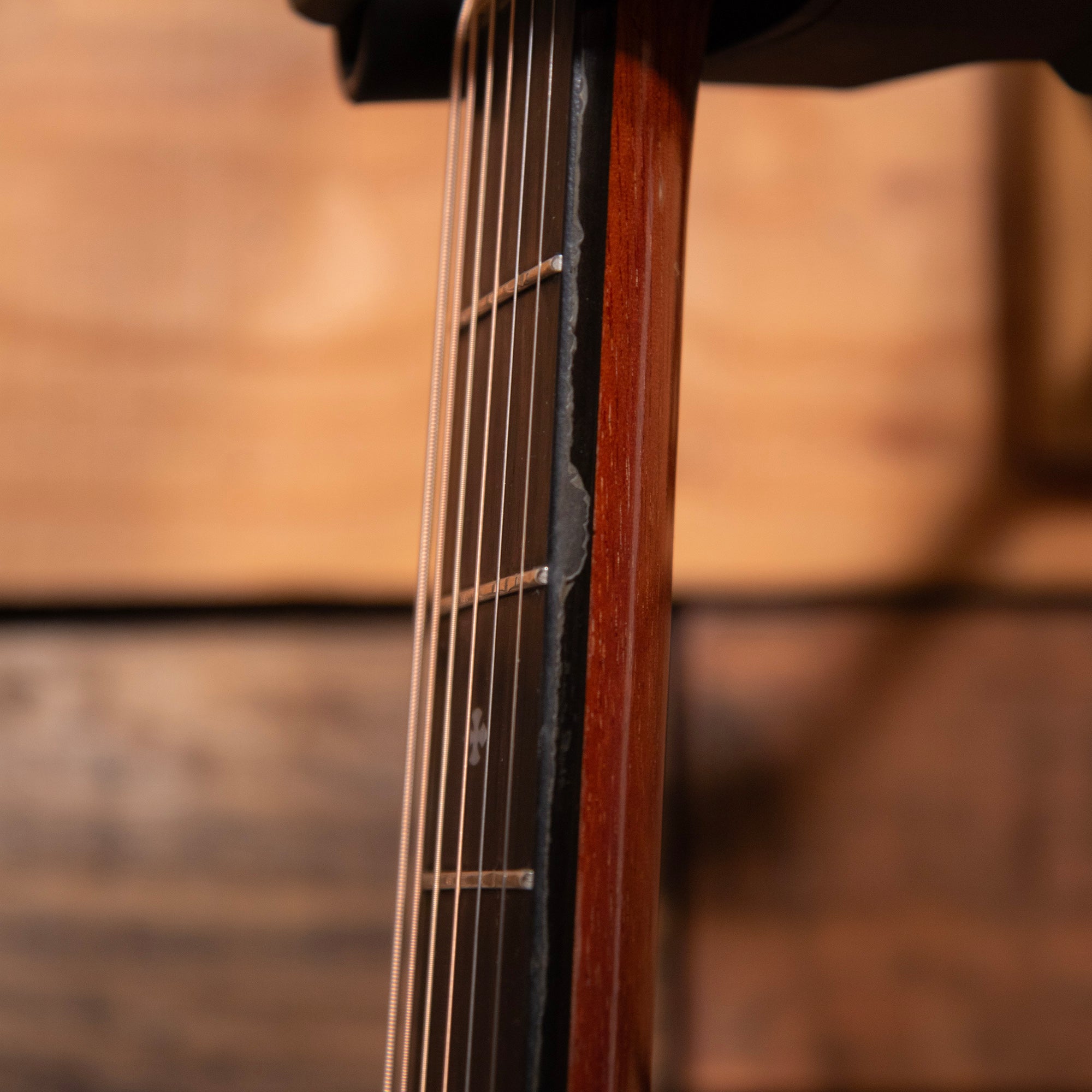 Taylor 310ce-LTD, 2001