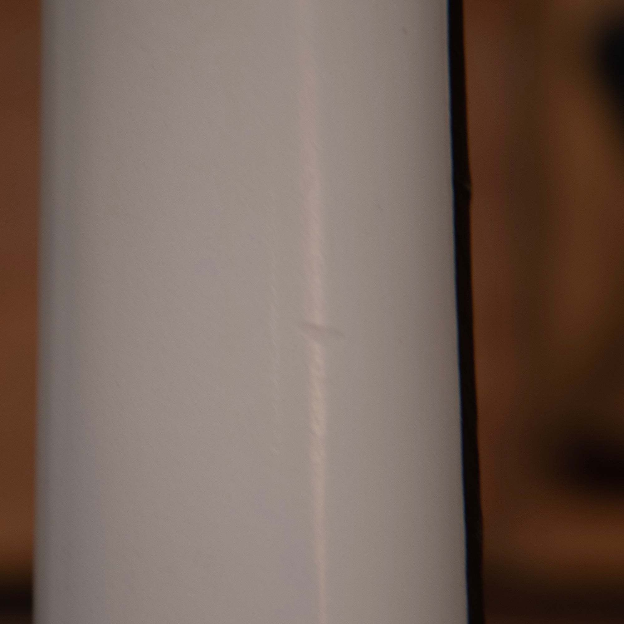 2021 Gibson Les Paul Special Tribute