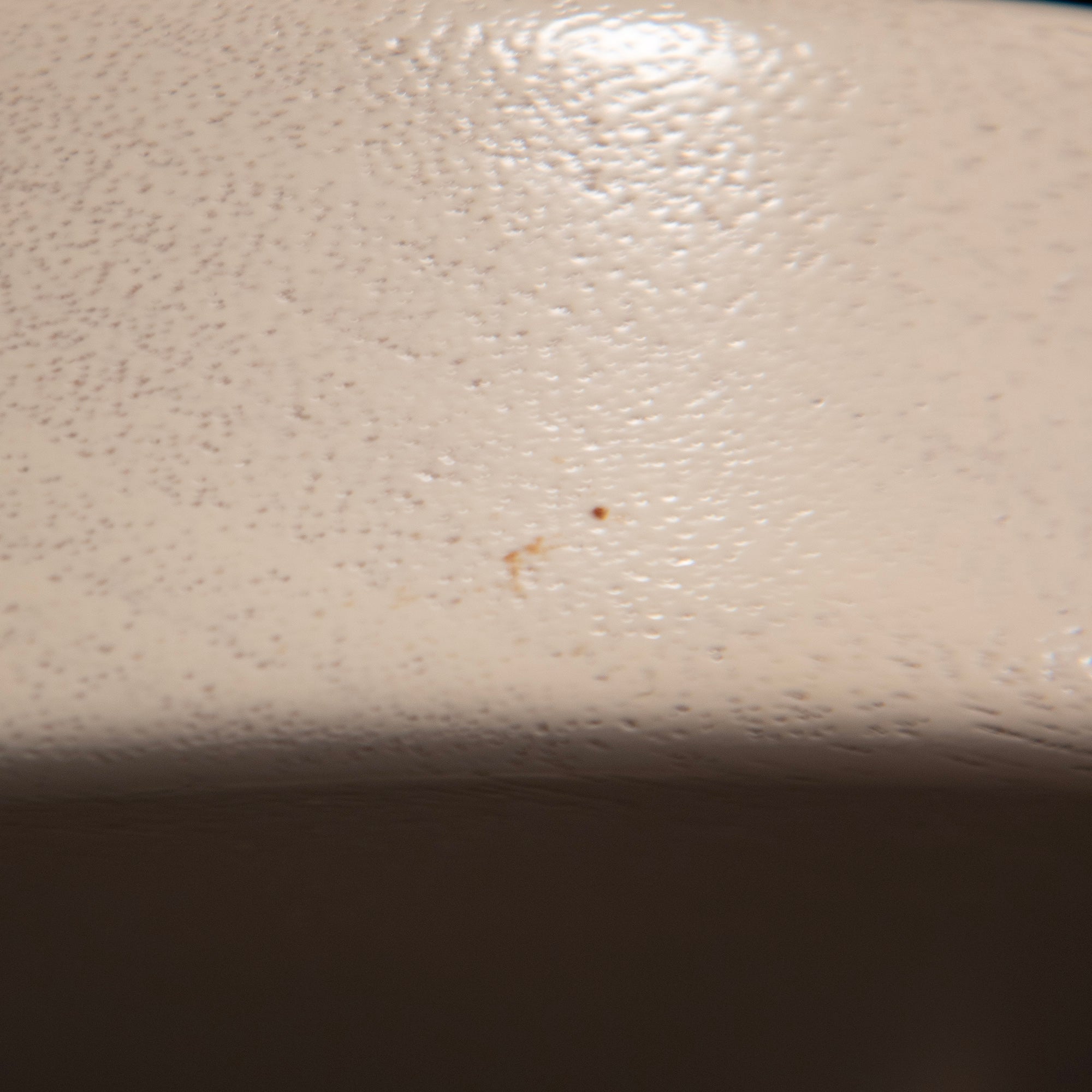 2021 Gibson Les Paul Special Tribute