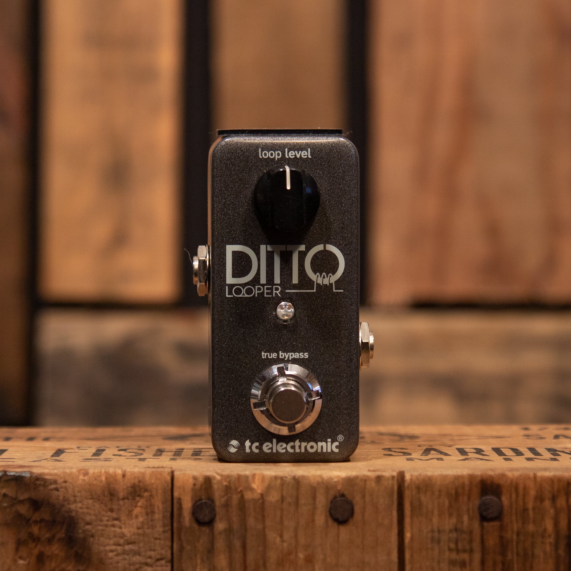 TC Electronic Ditto