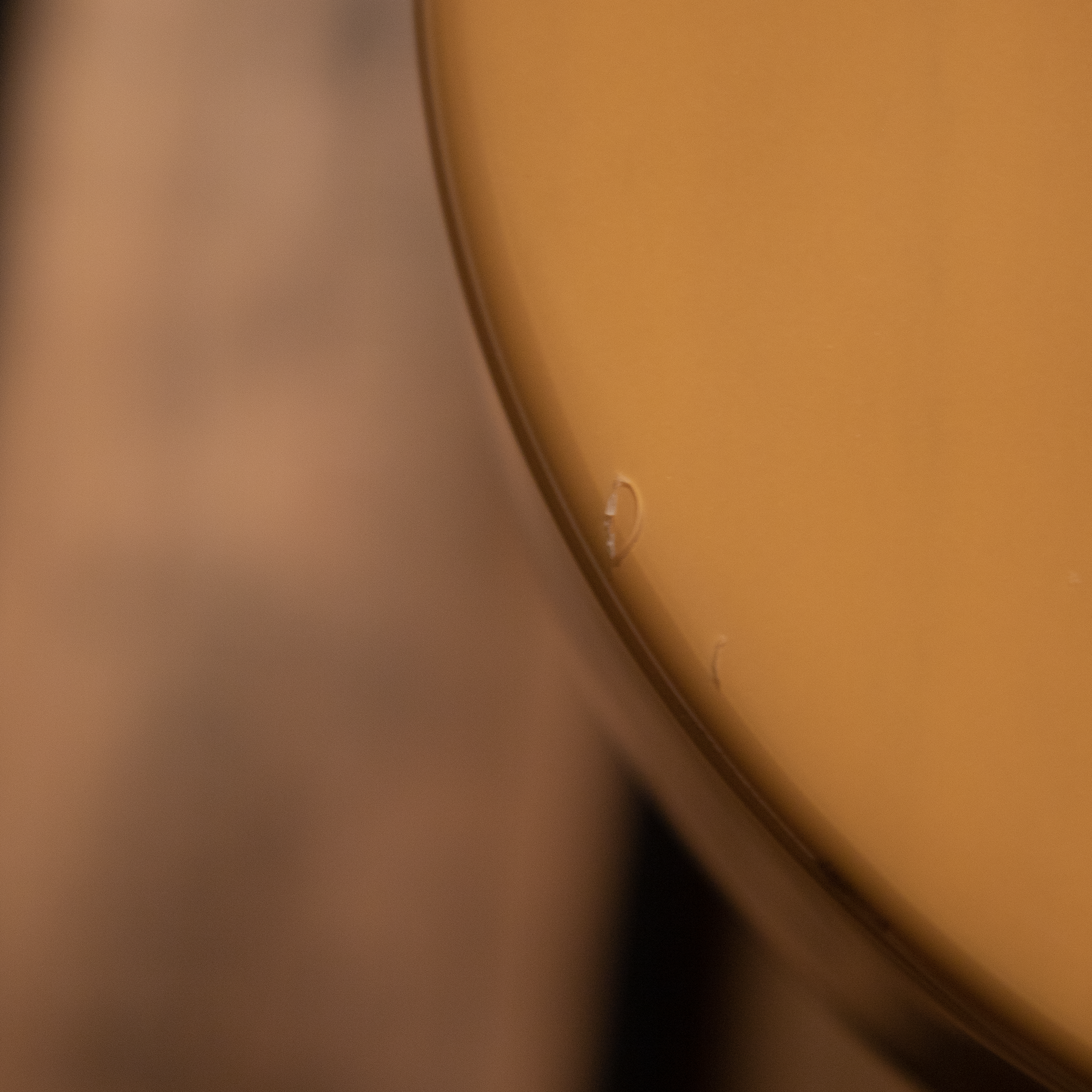 Fender Player Telecaster - Butterscotch