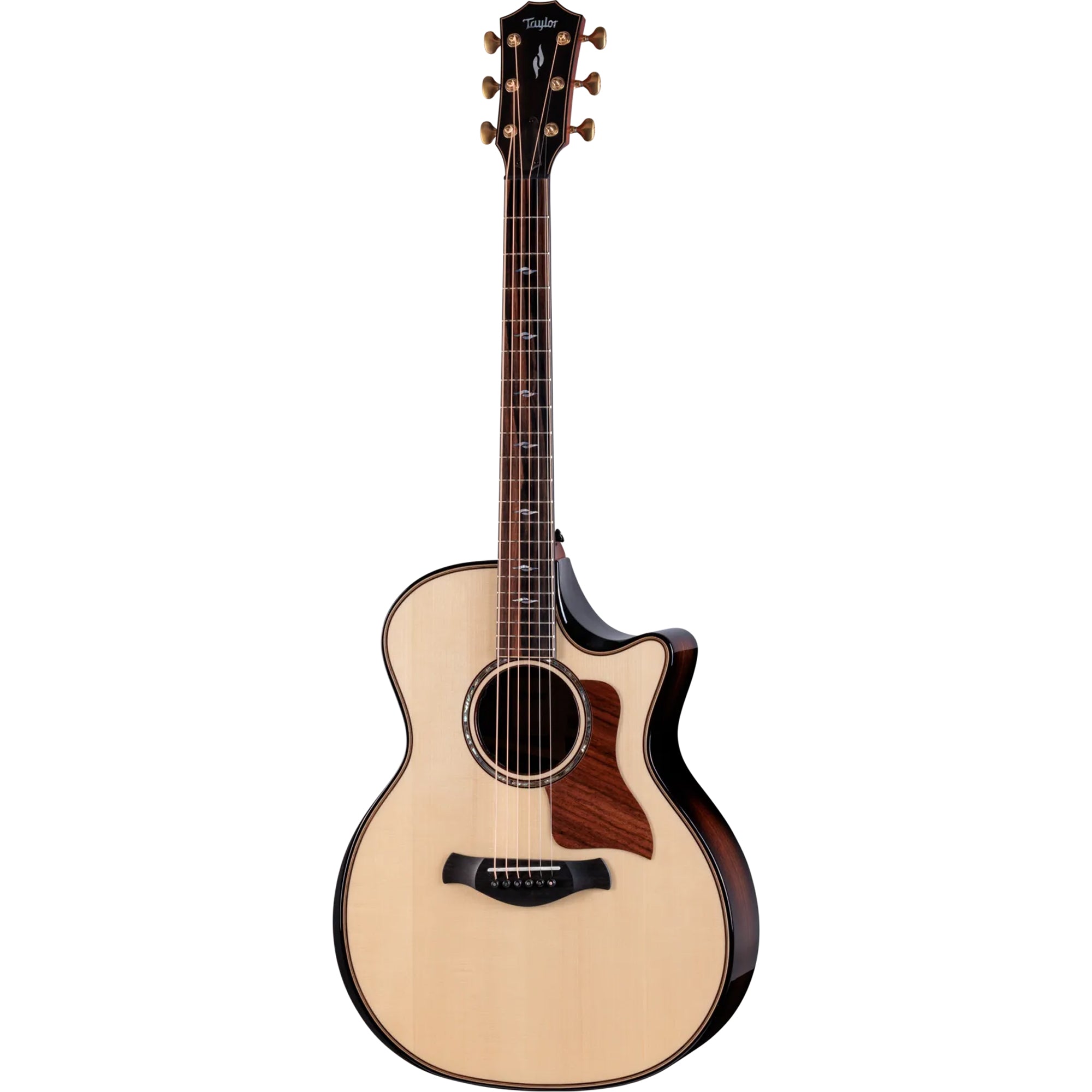 Taylor Next Generation Builder's Edition 814ce Indian Rosewood/Adirondack Spruce