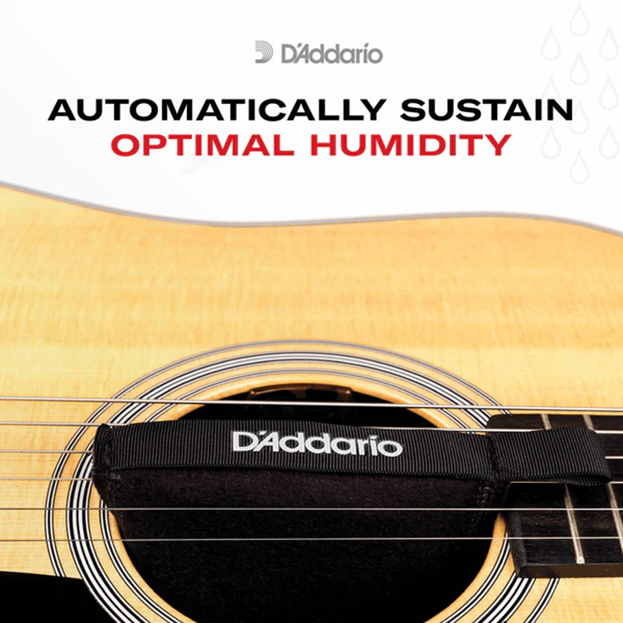 D'Addario Humidipak Maintain Automatic Humidity Control System