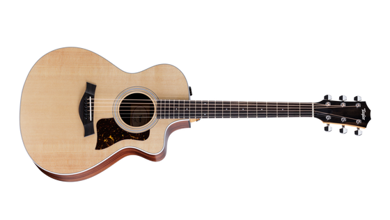 212ce Indian Rosewood Acoustic-Electric Guitar