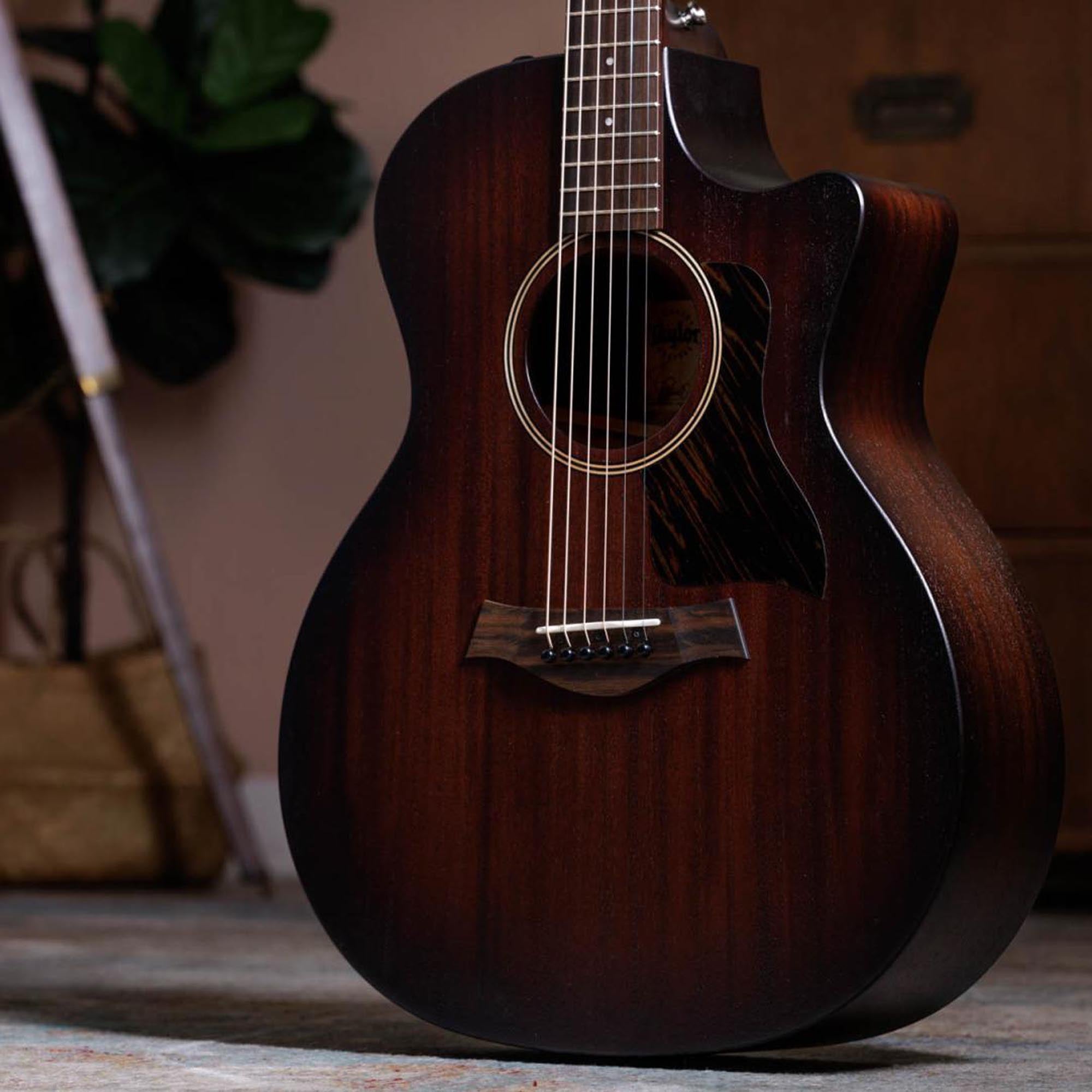 Taylor AD24ce Mahogany/Sapele