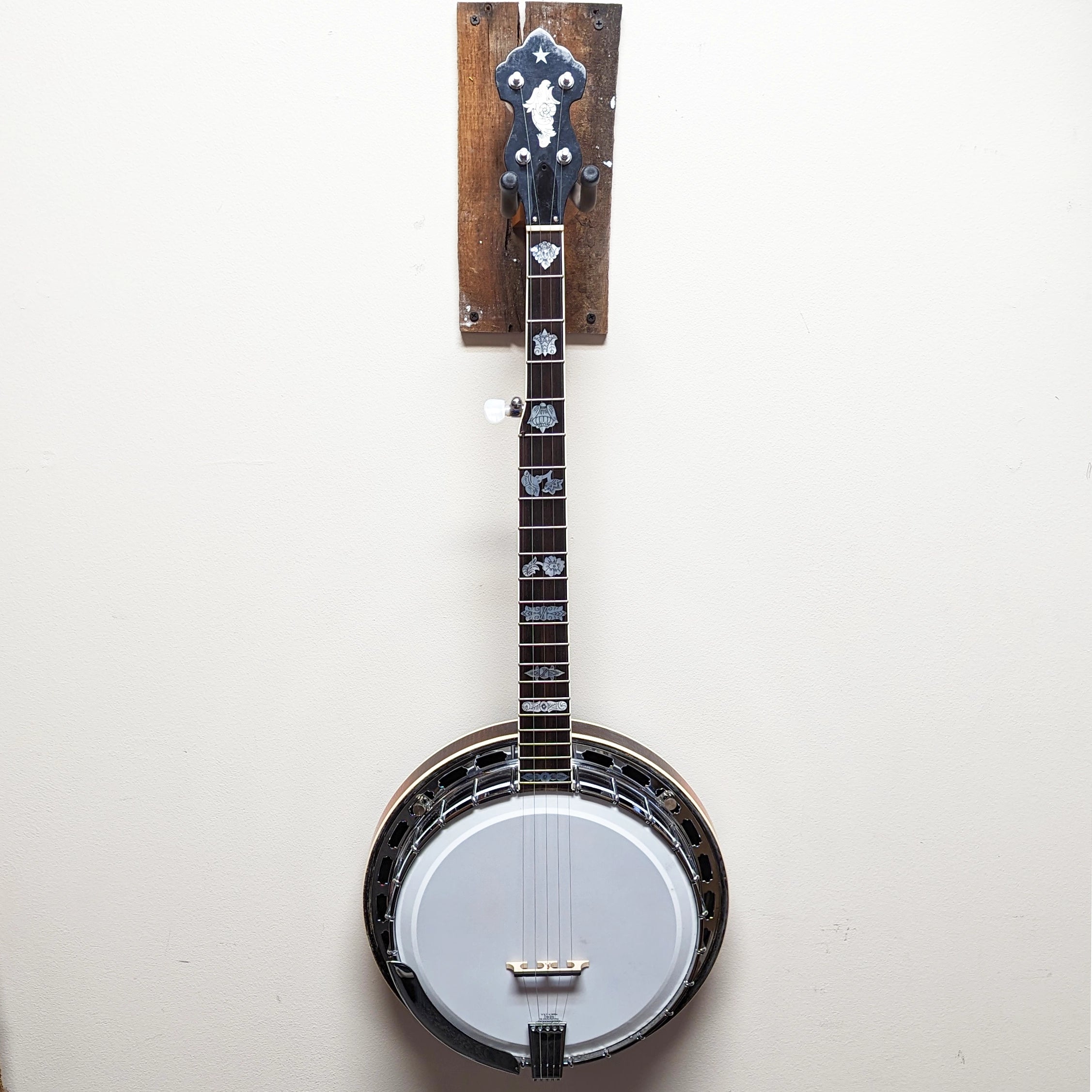 Alvarez Whyte Eagle Banjo w/HSC