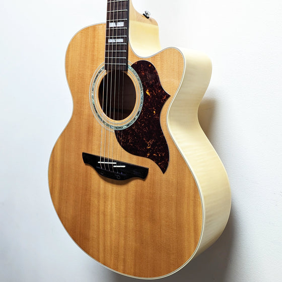 Takamine EG523C Acoustic-Electric Guitar w/HSC