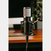 512 Audio Skylight Large-diaphragm Condenser Microphone