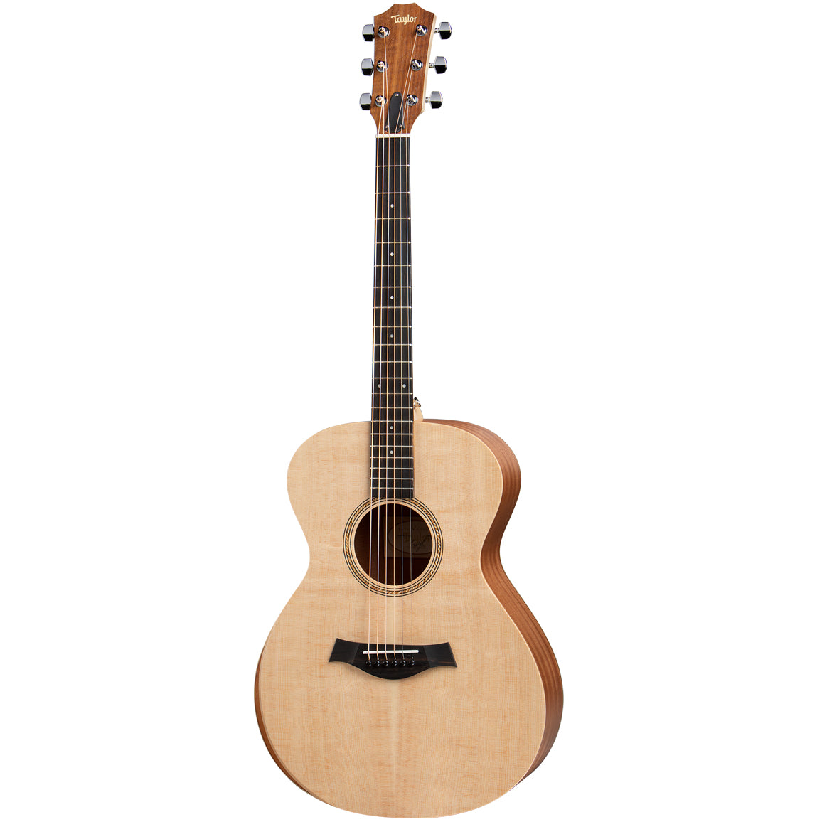 Taylor Acoustic Guitars - Spicer's Music