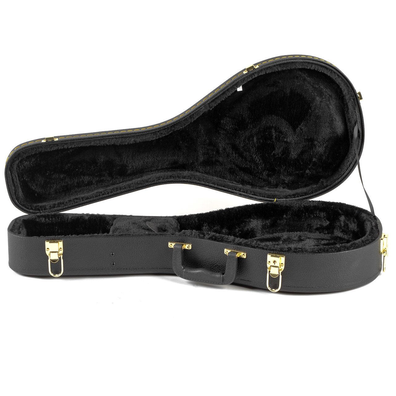 Guardian Mandolin Hardshell Case