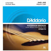 D'Addario Phosphor Bronze Acoustic Bass Strings (Light)