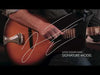 Recording King Justin Townes Earle Signature Single-0 Acoustic Guitar