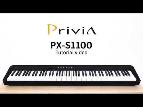 Casio Privia PX-S1100 Digital Piano Black
