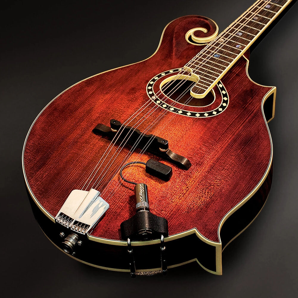 LR Baggs Radius-M Mandolin Pickup