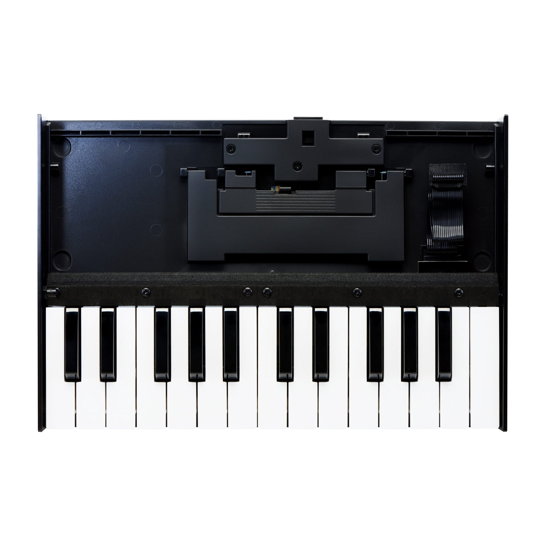 Roland K-25m Boutique Series Keyboard Unit