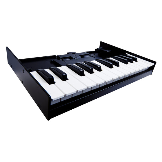 Roland K-25m Boutique Series Keyboard Unit