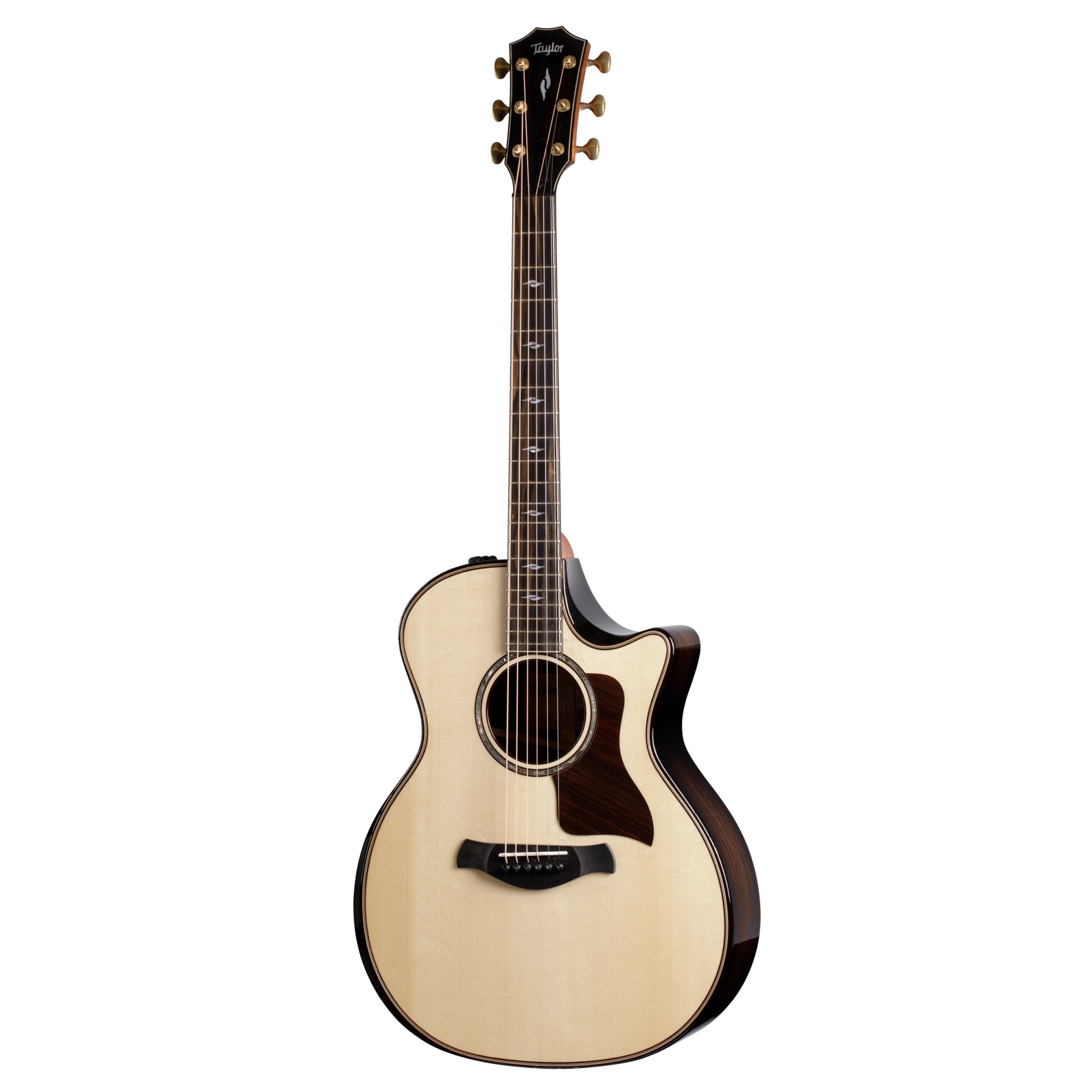 Taylor Acoustic Guitars - Spicer's Music