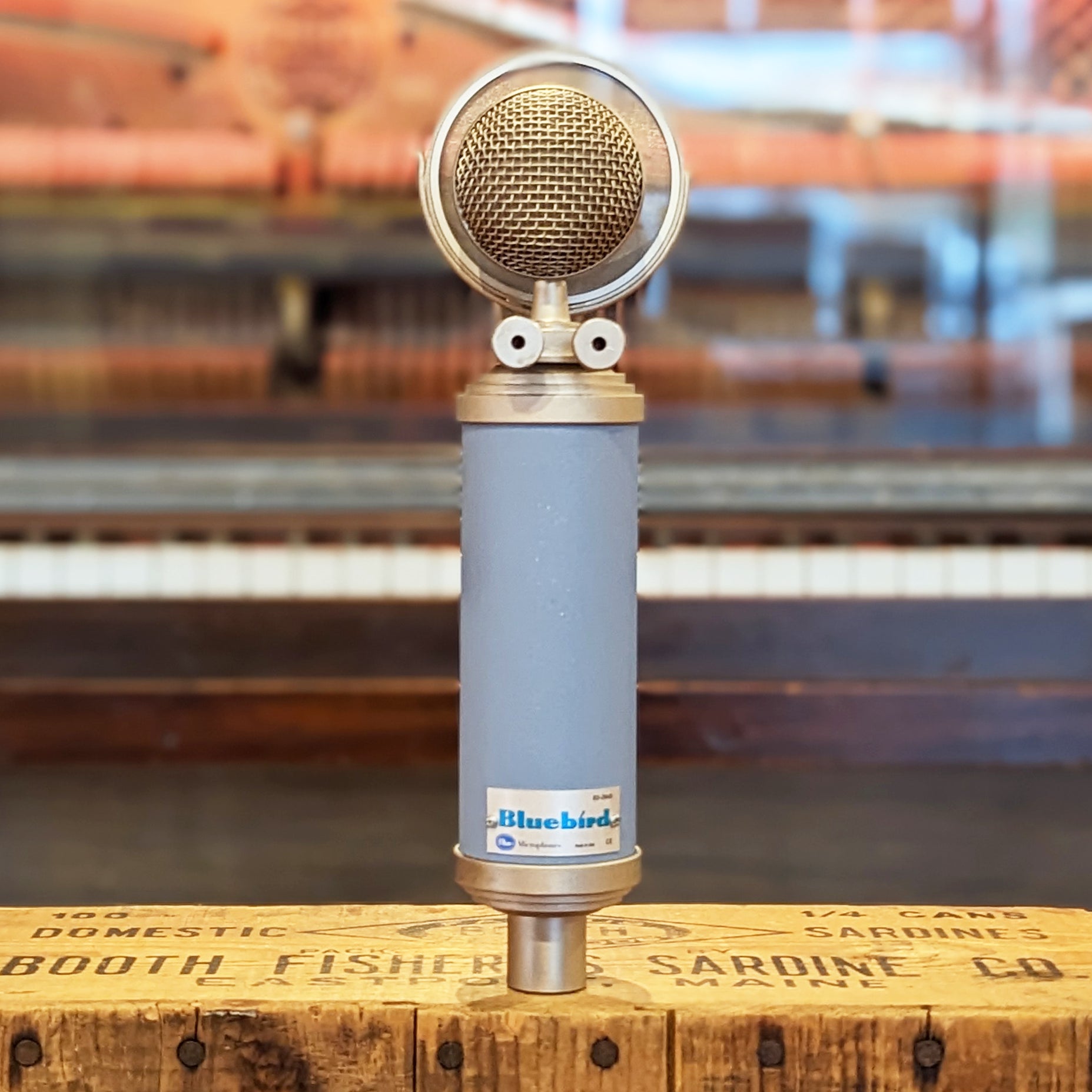 Blue Bluebird Large Diaphragm Cardioid Condenser Microphone w/Box