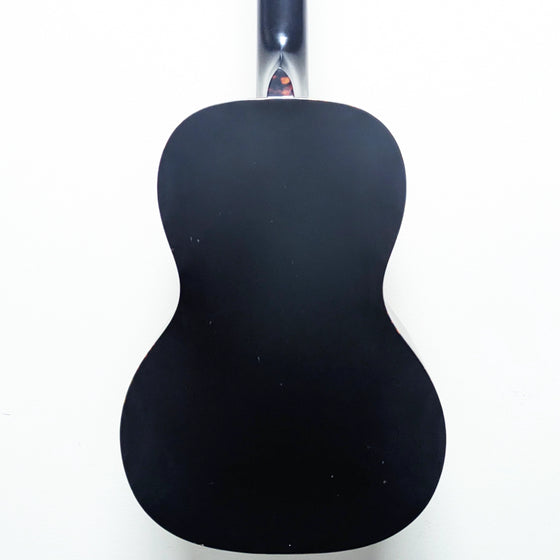 Recording King Justin Townes Earle Signature Single-0 Acoustic Guitar #251